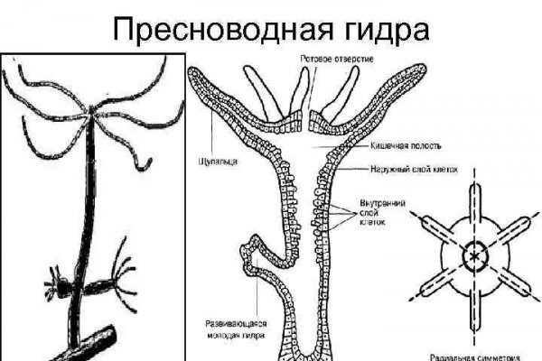 Восстановить аккаунт кракен