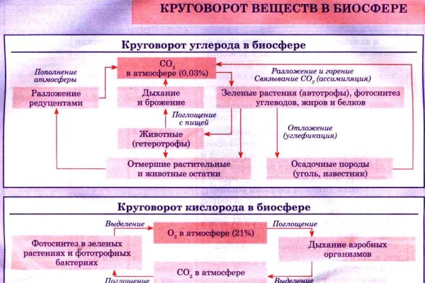 Как выводить деньги с кракена