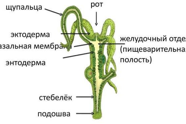 Сайт кракен закрыли