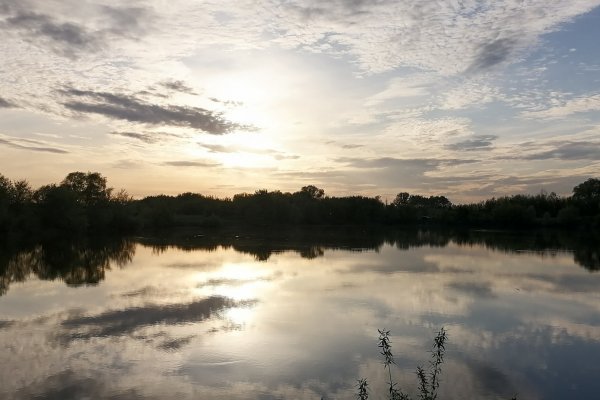 Кракен верификация